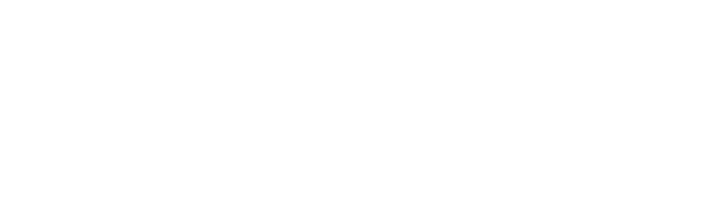 DMC LOGO SIGNATURE